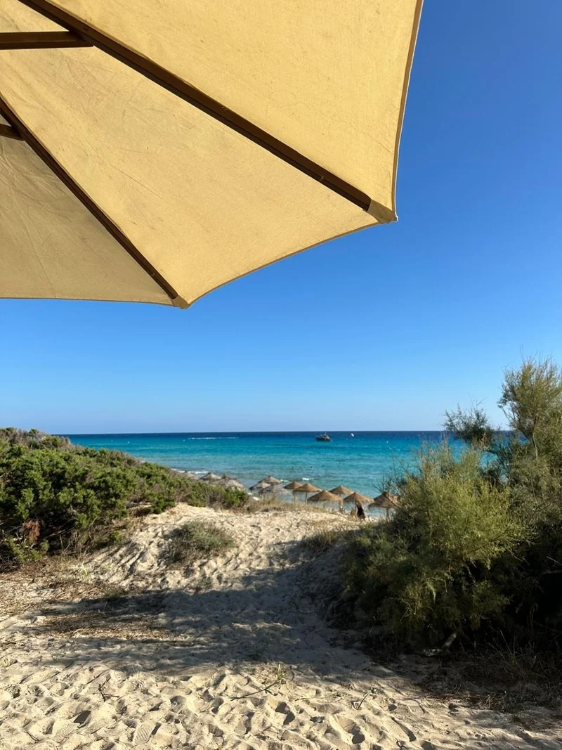 Trancoso desembarca em Formentera e já anuncia contagem para o Reveillon 2027 4 Trancoso desembarca em Formentera e já anuncia contagem para o Reveillon 2027