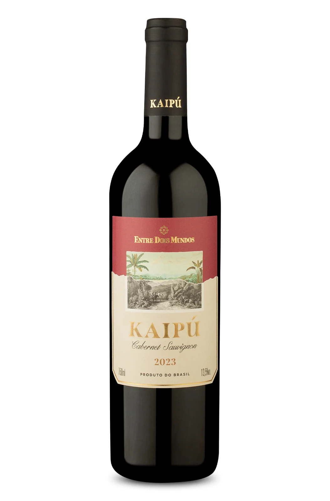 4 Cabernet Sauvignon para harmonizar com pedidos de delivery 2 4 Cabernet Sauvignon para harmonizar com pedidos de delivery