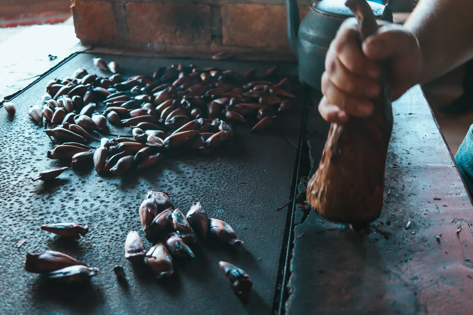 5 tradições que seguem vivas em uma fazenda da Serra Catarinense