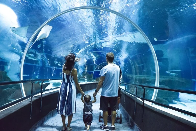 AquaRio reúne quatro atrações e cria roteiro completo na Zona Portuária