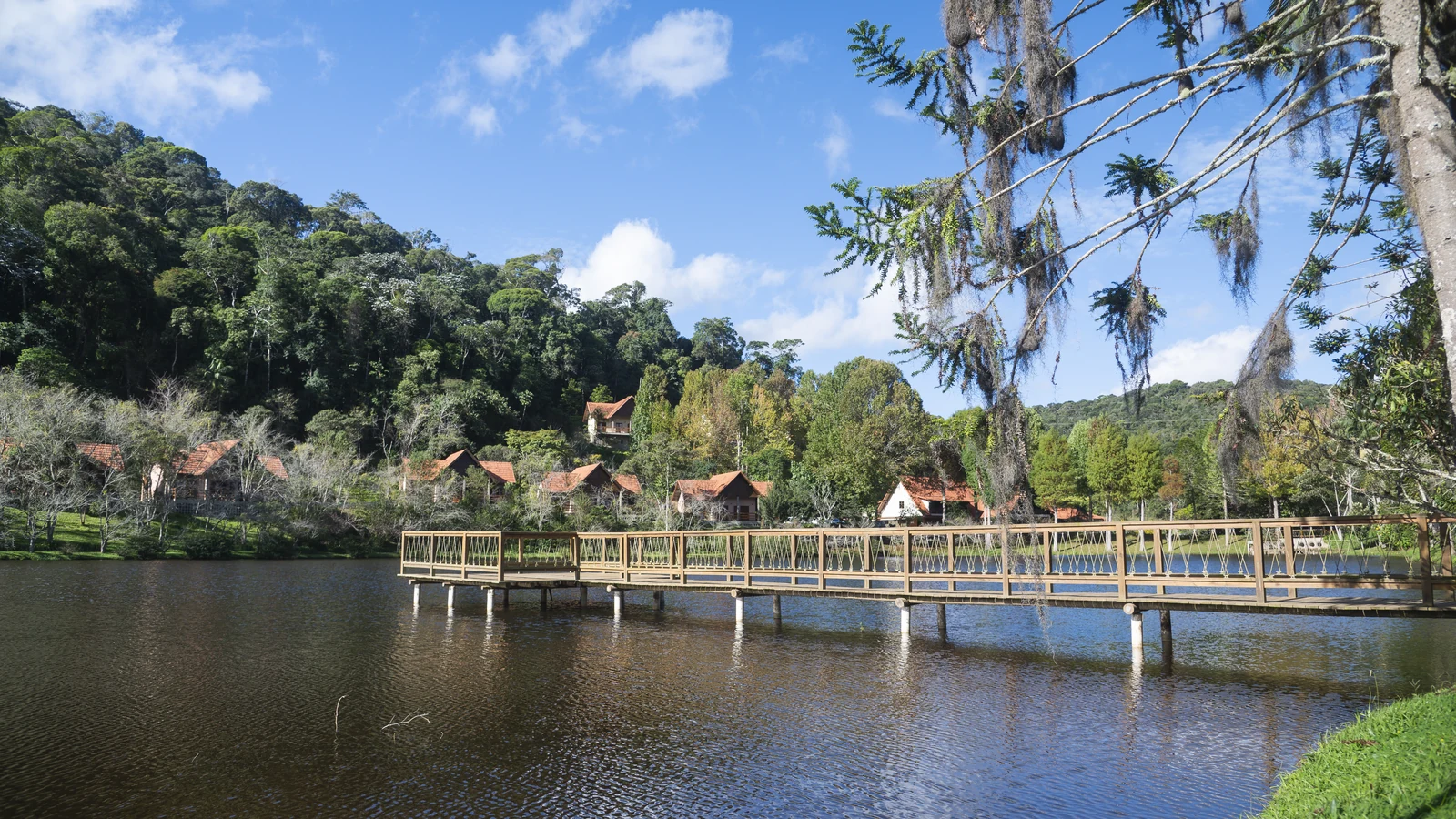 banhos de floresta e refugio serrano redefinem viagens no espirito santo featured