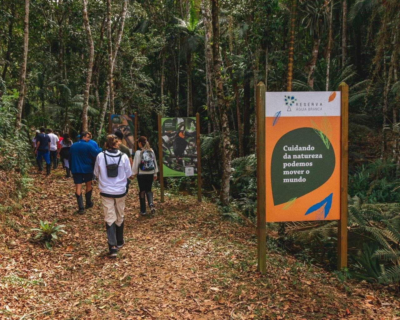 Banhos de floresta e refúgio serrano redefinem viagens no Espírito Santo