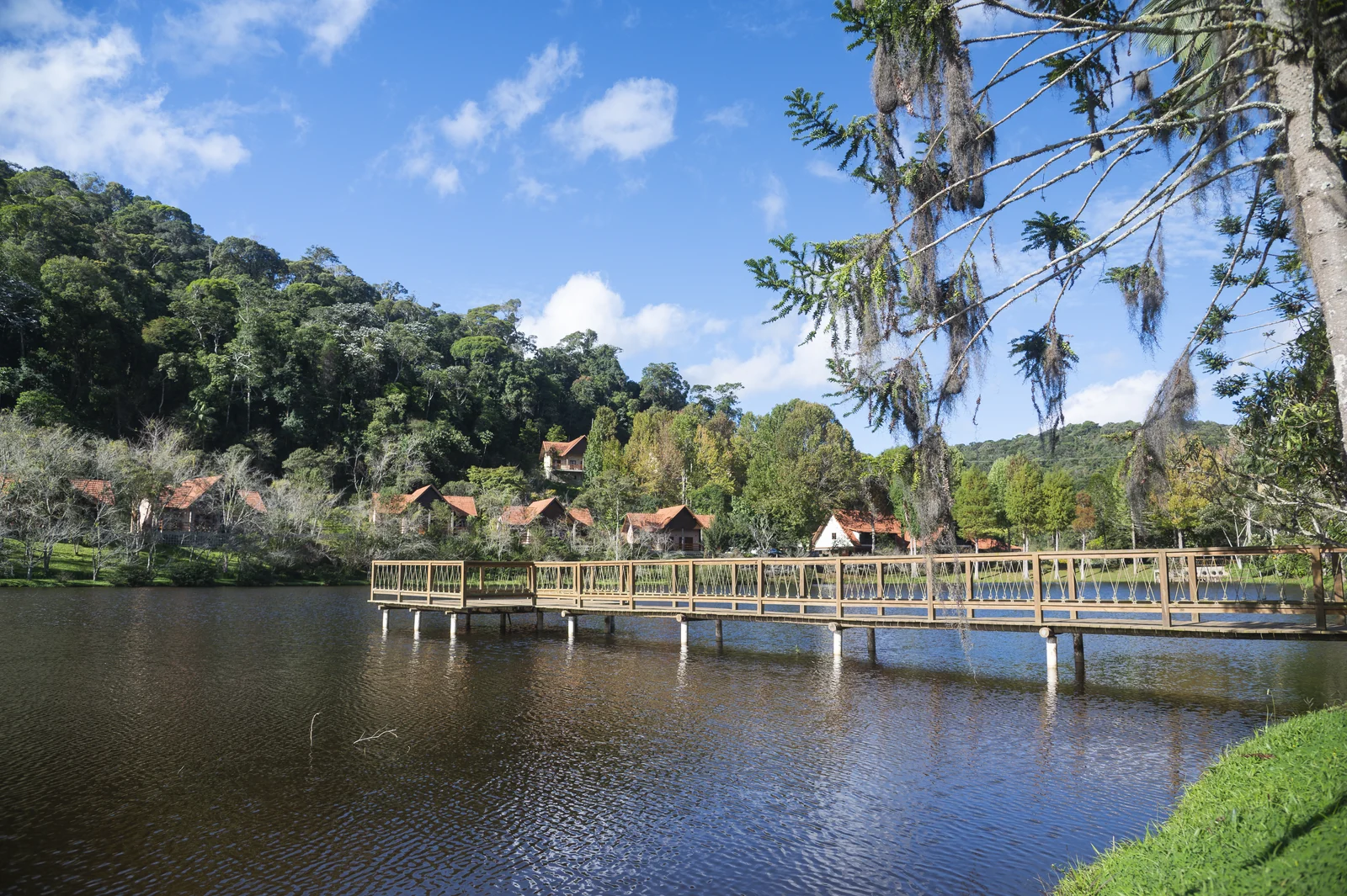 Banhos de floresta e refúgio serrano redefinem viagens no Espírito Santo