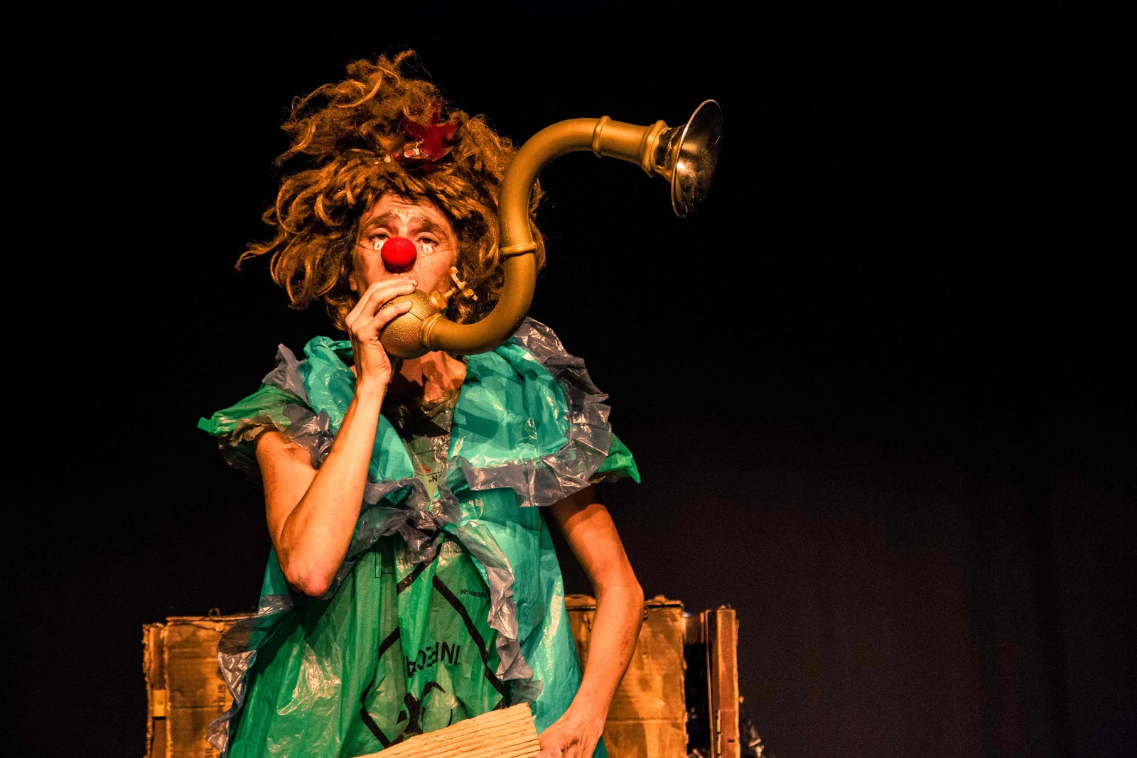 Catadora de Ilusões celebra 10 anos com sessões gratuitas em SP