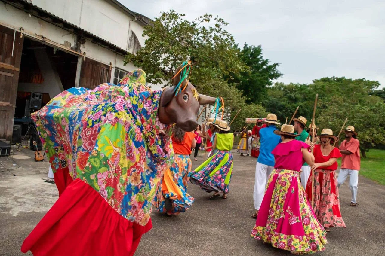 CCBB Rio celebra saberes populares com danças tradicionais e jongo 3 CCBB Rio celebra saberes populares com danças tradicionais e jongo