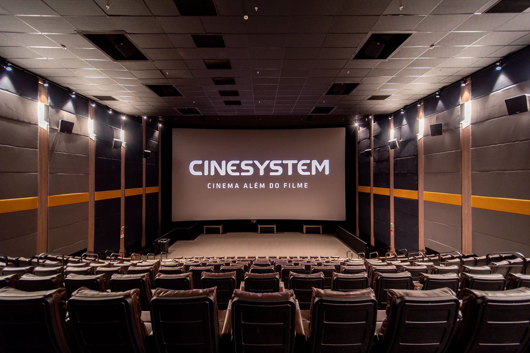Cinesystem aposta em experiência e projeta crescer 25% em 2026