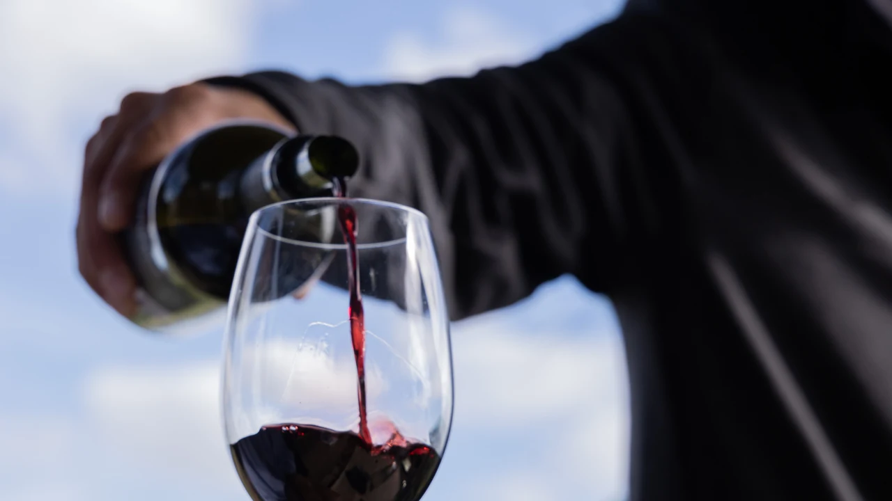 circuito de vinho uruguaio com tannat chega ao rio em agosto featured