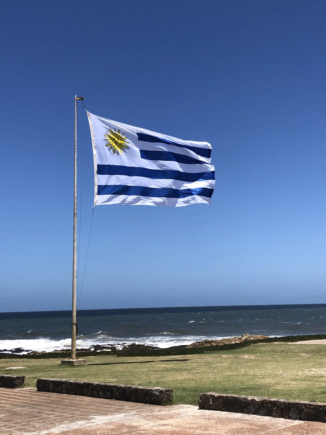 Circuito de vinho uruguaio com Tannat chega ao Rio em agosto