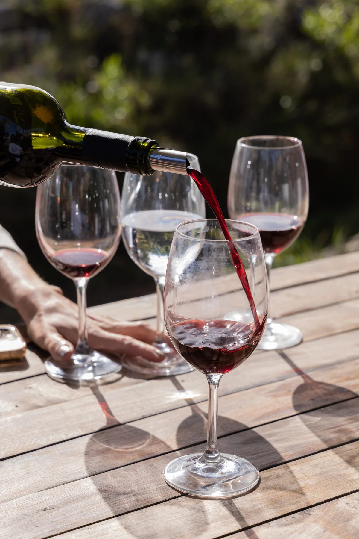Circuito de vinho uruguaio com Tannat chega ao Rio em agosto