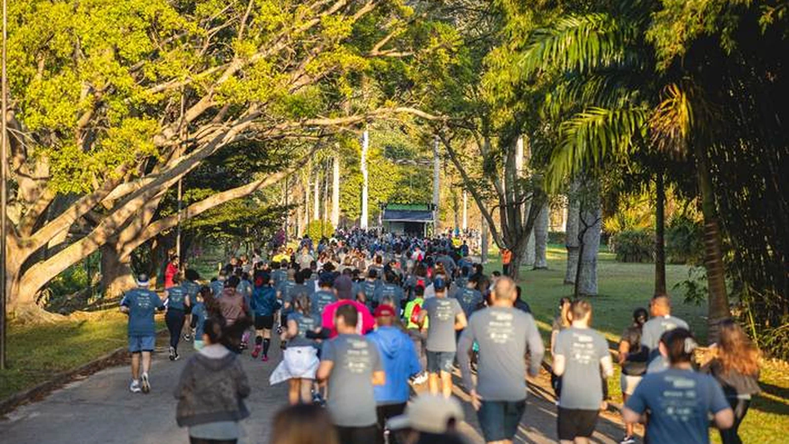 corrida track field ocupa jardim botanico com provas de 4 km e 8 km featured
