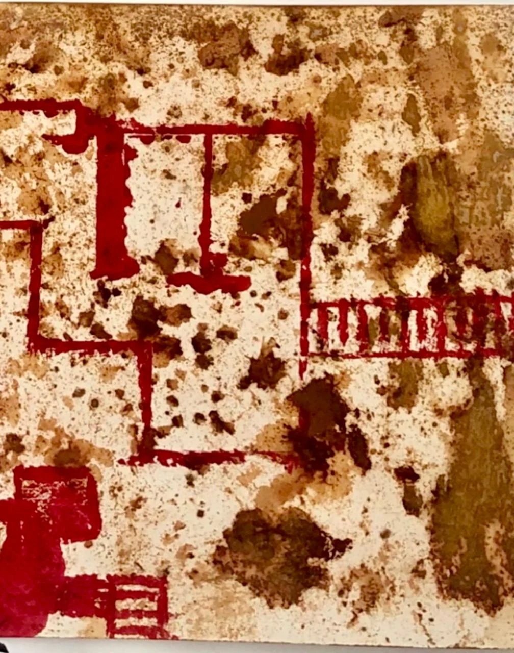 Exposição Vivências debate consciência ambiental e memória na arte