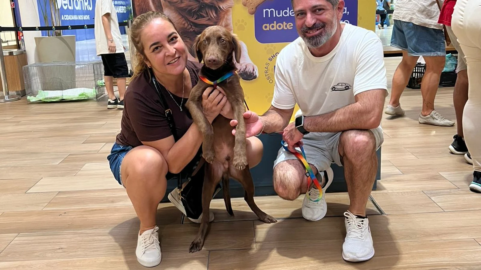 Feira de adoção no Shopping Plaza Rio das Ostras abre oportunidade para cães e gatos ganharem um novo lar feira de adocao no shopping plaza rio das ostras abre oportunidade para caes e gatos ganharem um novo lar featured