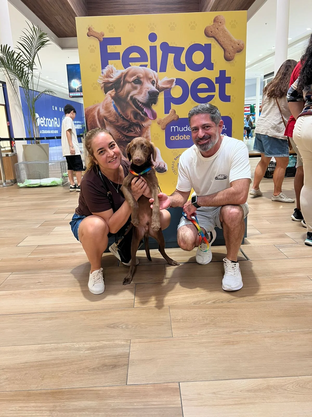 Feira de adoção no Shopping Plaza Rio das Ostras abre oportunidade para cães e gatos ganharem um novo lar 1 Feira de adoção no Shopping Plaza Rio das Ostras abre oportunidade para cães e gatos ganharem um novo lar