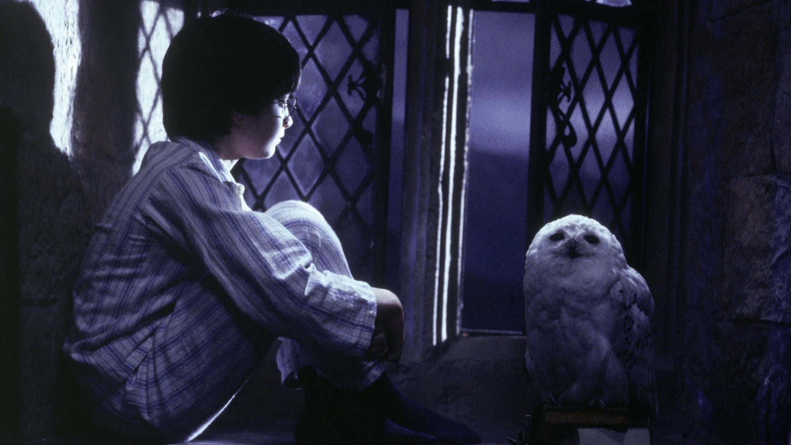 Harry Potter e a Pedra Filosofal ganha sessões extras nos cinemas harry potter e a pedra filosofal ganha sessoes extras nos cinemas featured