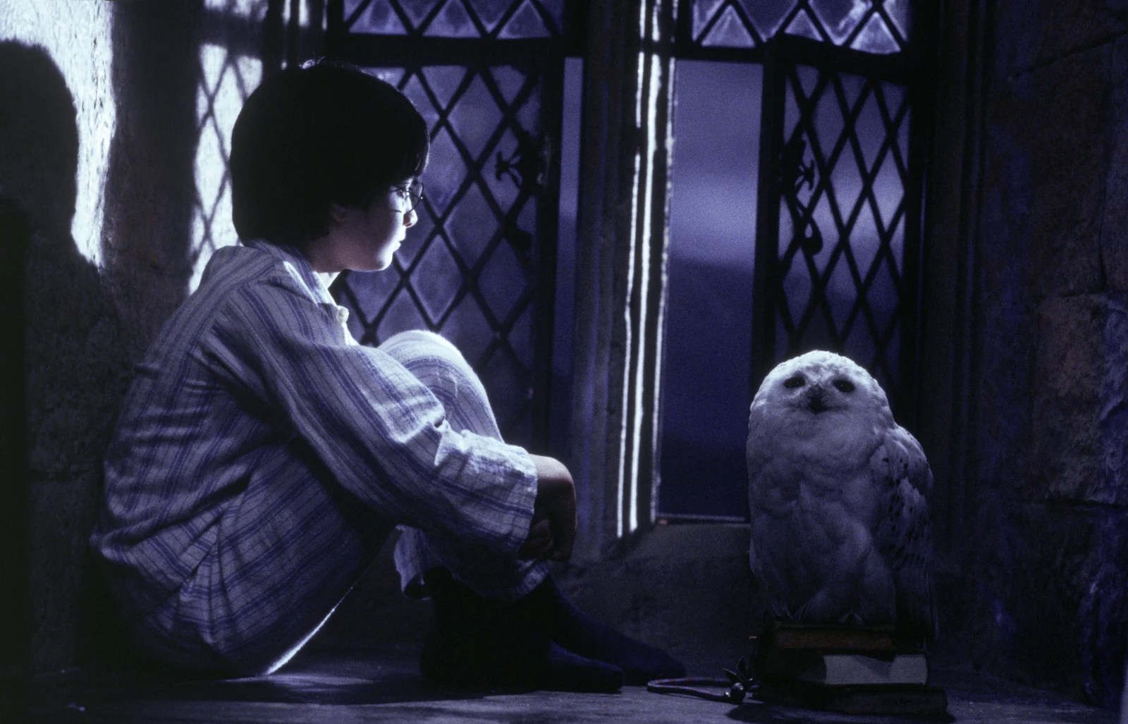 Harry Potter e a Pedra Filosofal ganha sessões extras nos cinemas 1 Harry Potter e a Pedra Filosofal ganha sessões extras nos cinemas