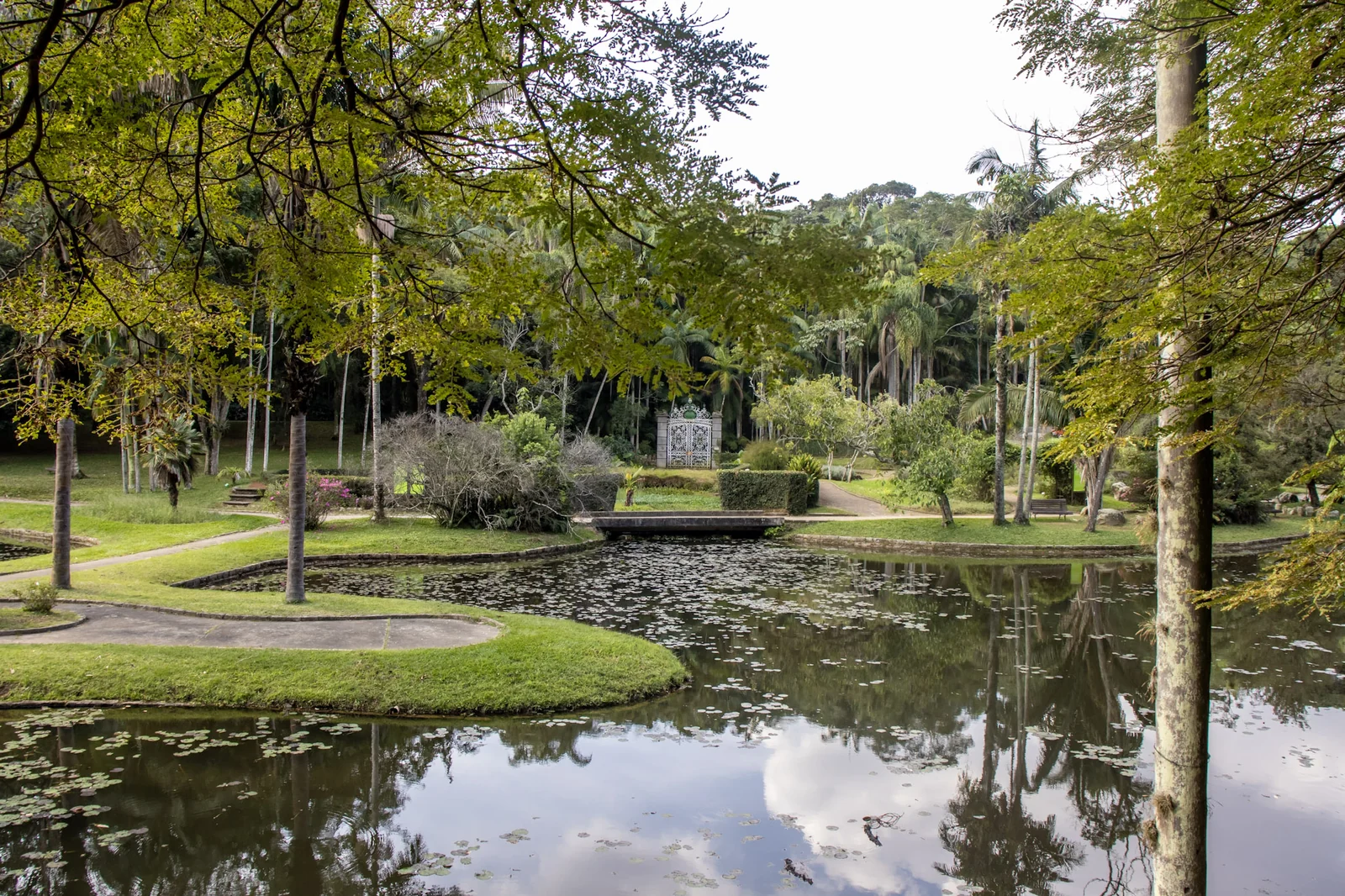 Jardim Botânico de SP terá entrada grátis nesta quarta-feira 4 Jardim Botânico de SP terá entrada grátis nesta quarta-feira