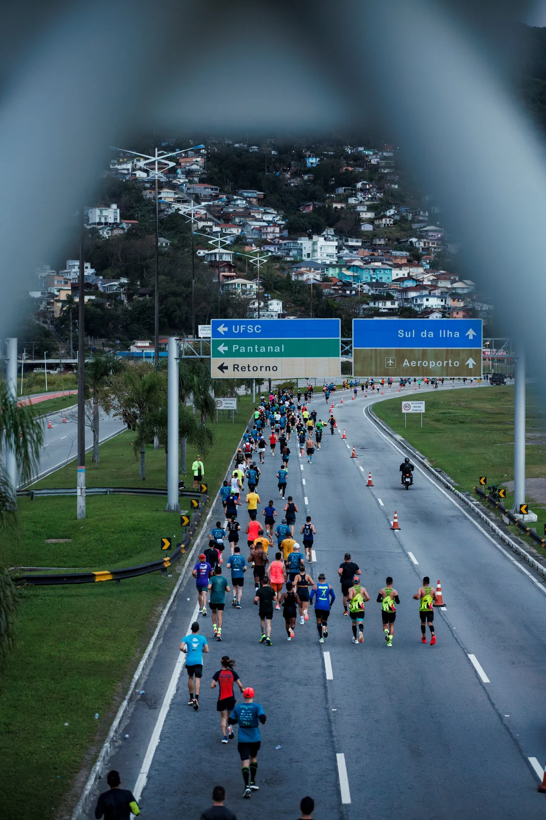 Maratona de Floripa 2026 reúne 19 mil atletas sob a Ponte Hercílio Luz