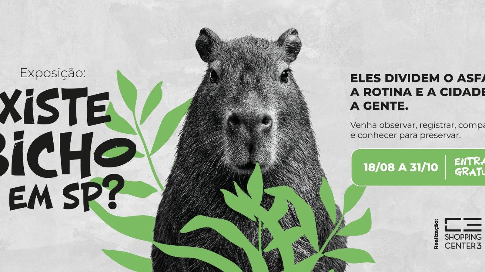 museu de zoologia da usp mostra a fauna escondida na paulista featured