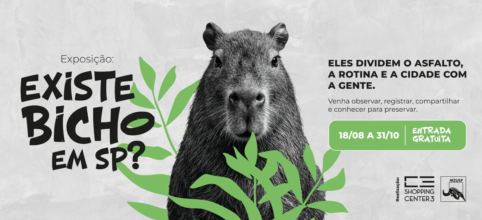 Museu de Zoologia da USP mostra a fauna escondida na Paulista