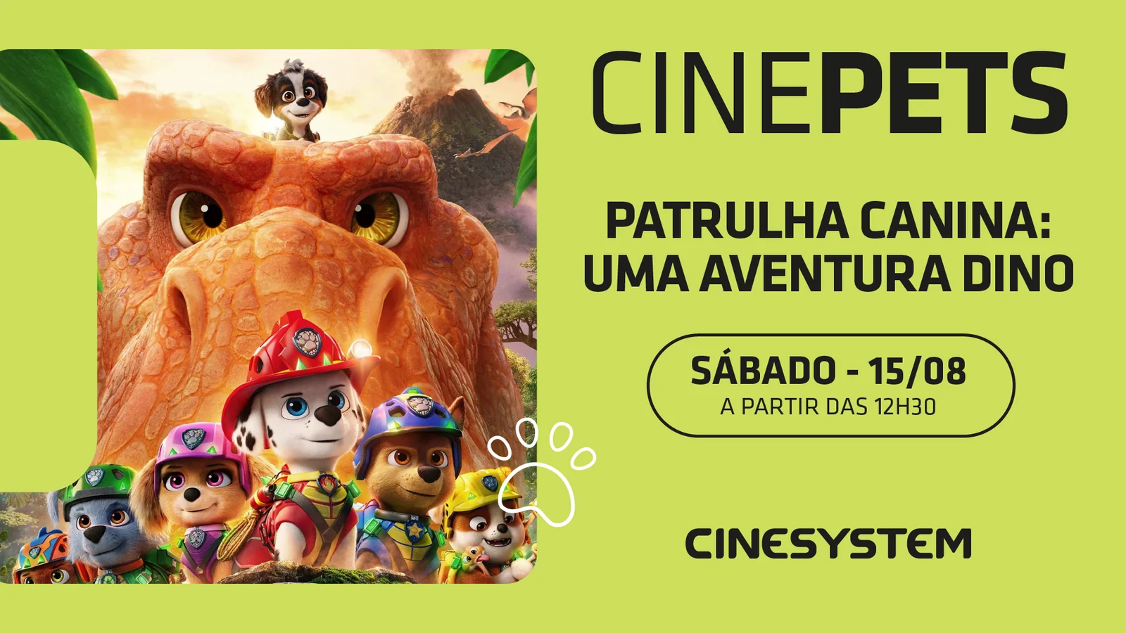 Patrulha Canina ganha sessão de cinema adaptada para cães 1 Patrulha Canina ganha sessão de cinema adaptada para cães