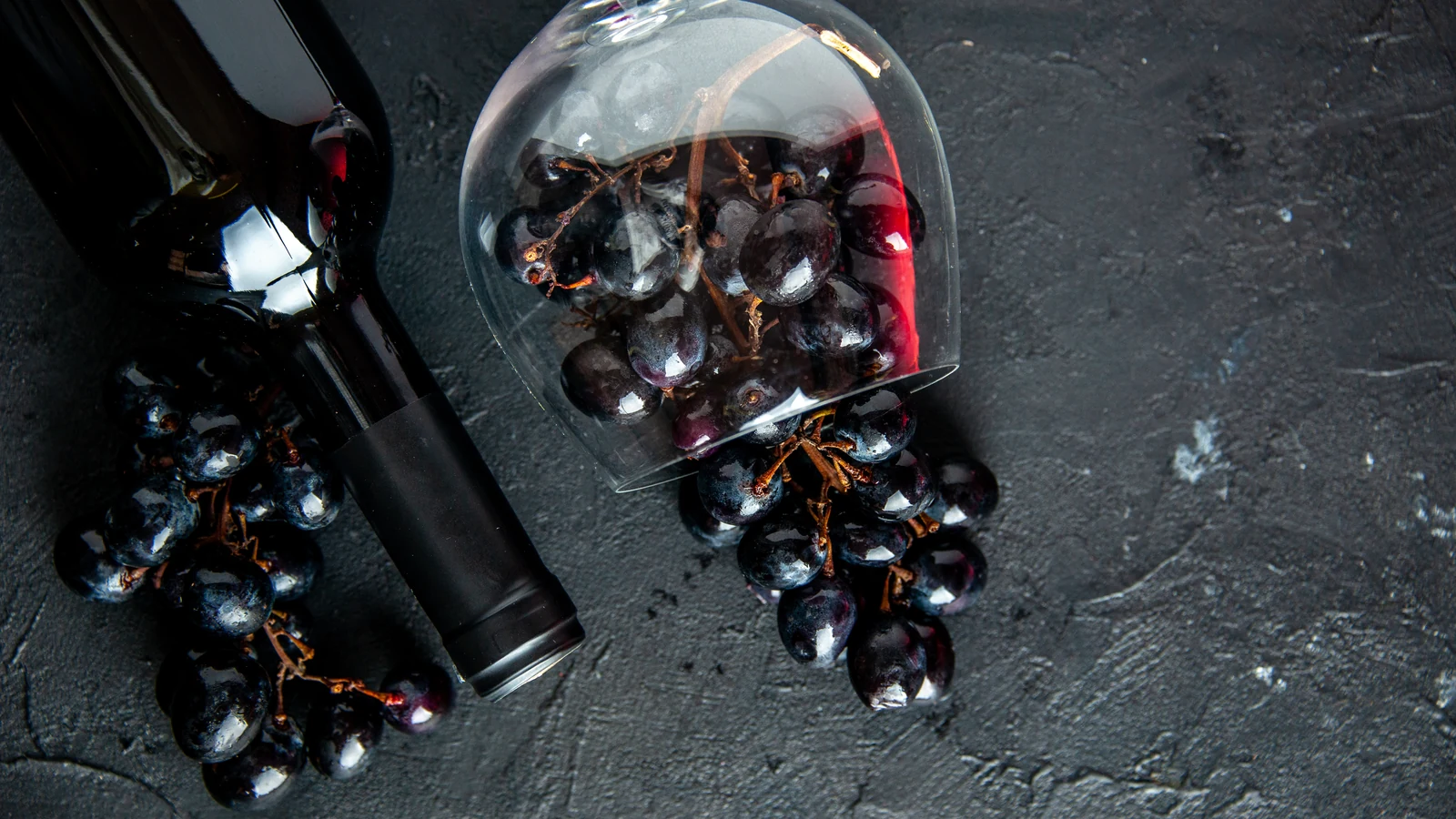 quatro cabernets revelam origens distintas em balneario camboriu featured