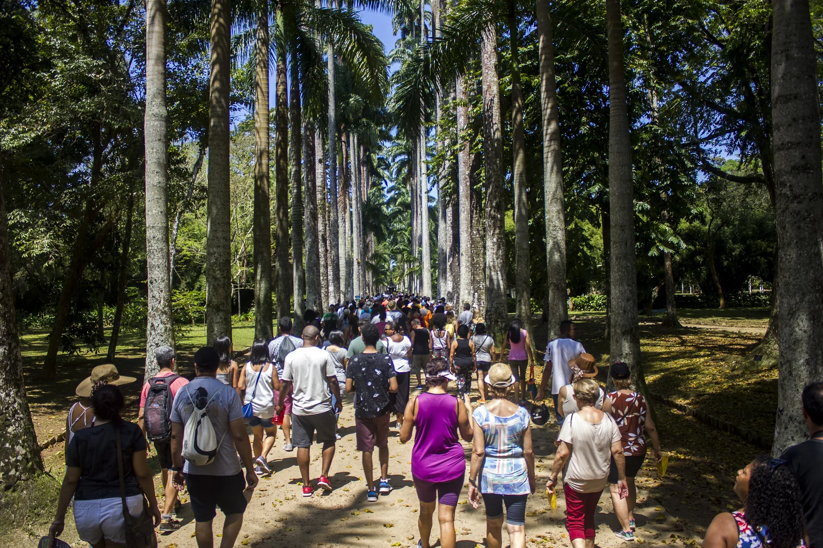Rolé no Jardim Botânico propõe percurso decolonial sobre memória e poder 1 Rolé no Jardim Botânico propõe percurso decolonial sobre memória e poder