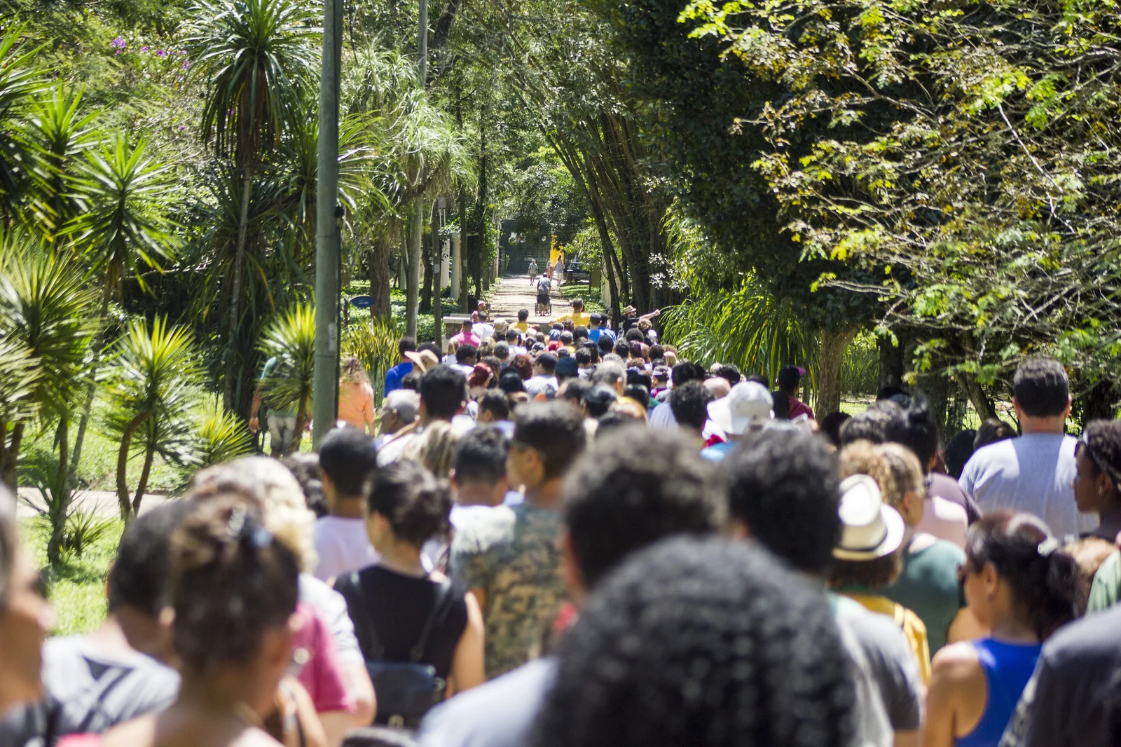 Rolé no Jardim Botânico propõe percurso decolonial sobre memória e poder 2 Rolé no Jardim Botânico propõe percurso decolonial sobre memória e poder
