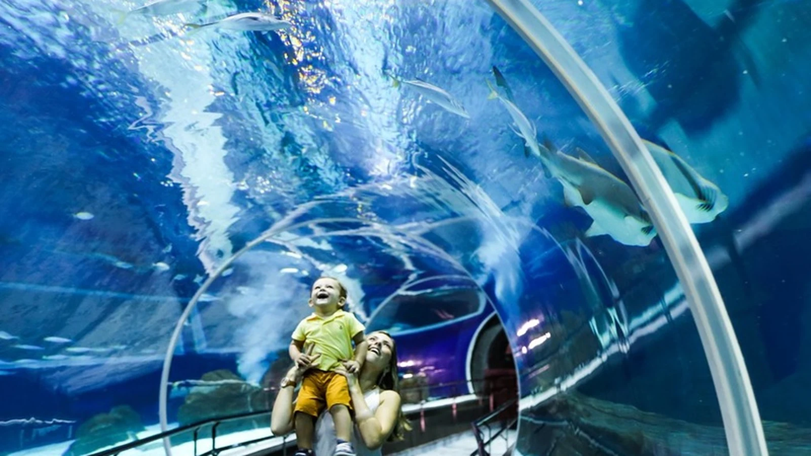Sessão Azul adapta visita ao AquaRio para pessoas com TEA sessao azul adapta visita ao aquario para pessoas com tea featured