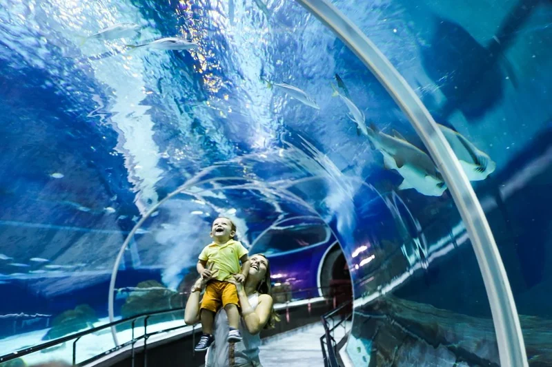 Sessão Azul adapta visita ao AquaRio para pessoas com TEA 2 Sessão Azul adapta visita ao AquaRio para pessoas com TEA