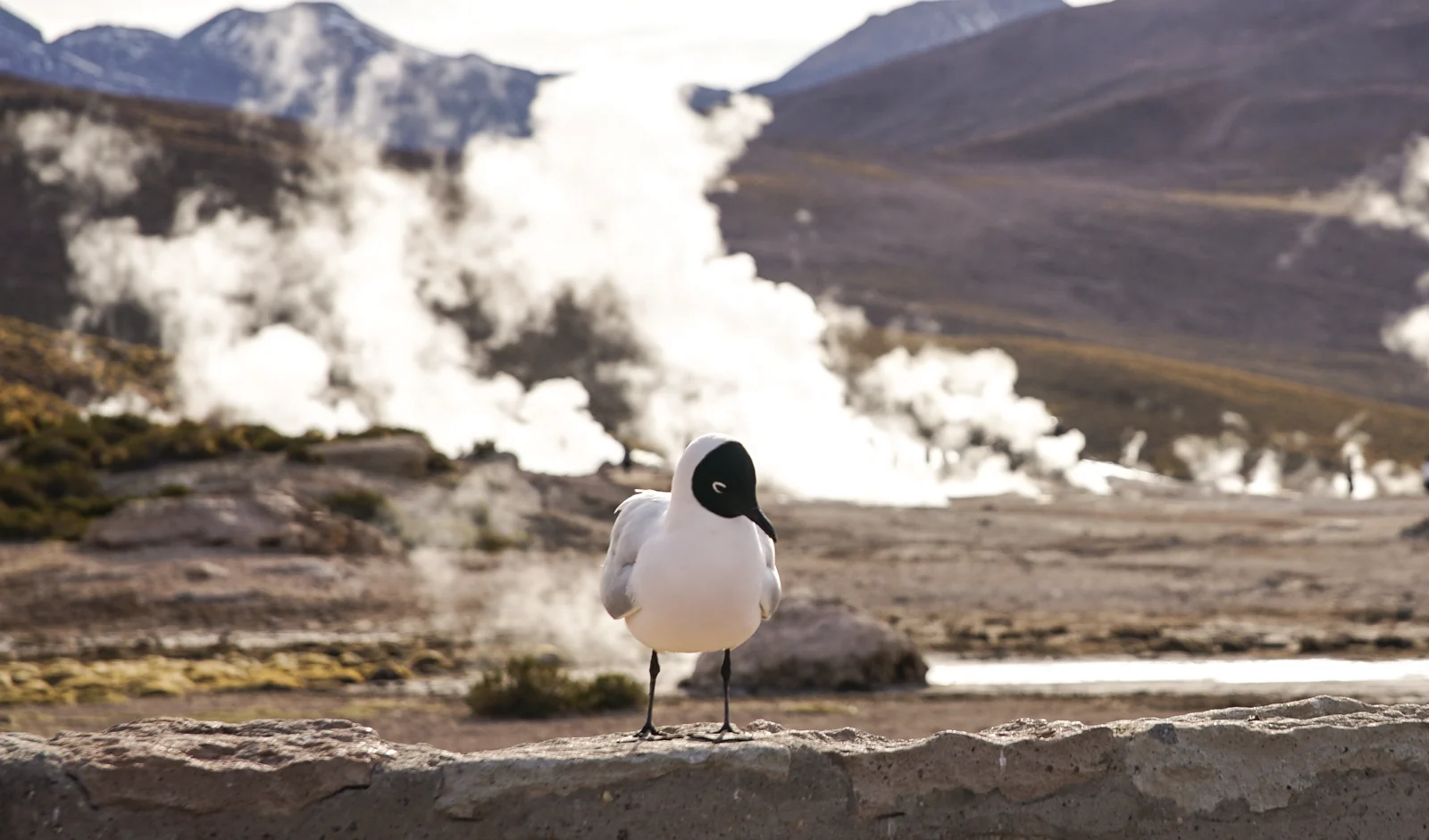 Atacama ganha roteiro de Dia das Crianças com lazer e aprendizado 5 Atacama ganha roteiro de Dia das Crianças com lazer e aprendizado
