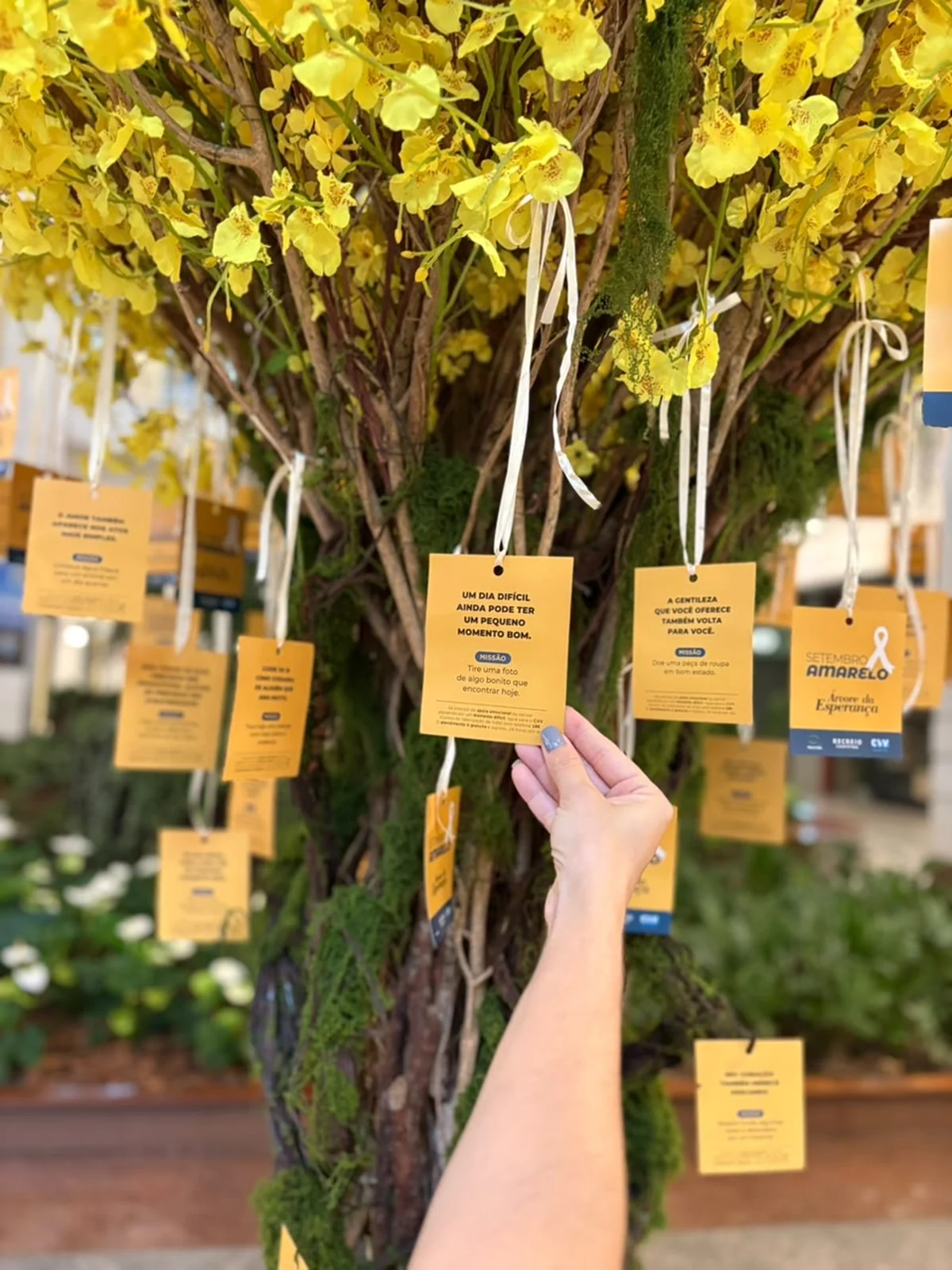 Bilhetes de gentileza e Árvore da Esperança ocupam shopping no Rio