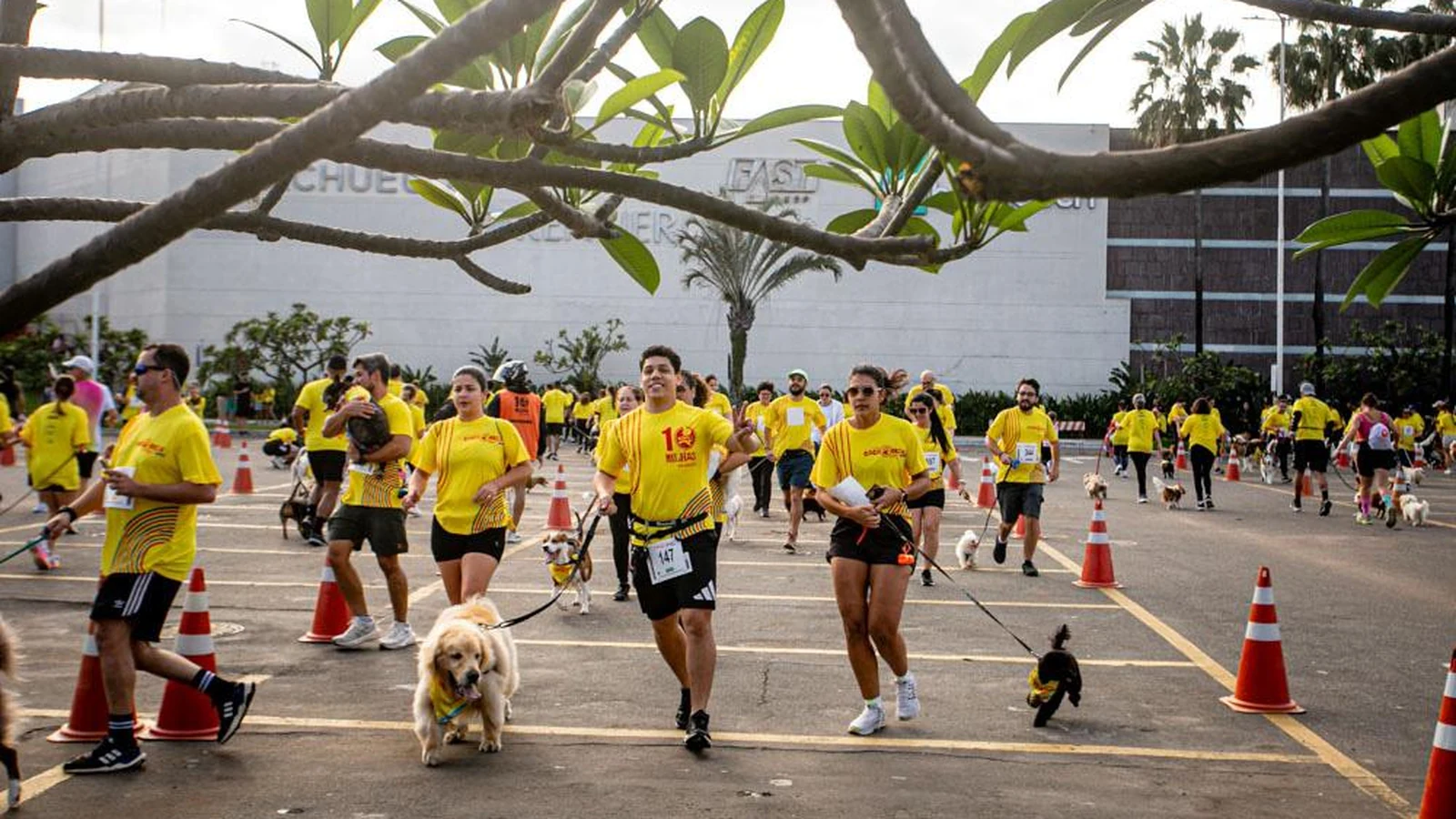 cachorrida e garotada batem recorde e ganham espaco de 10 mil m featured