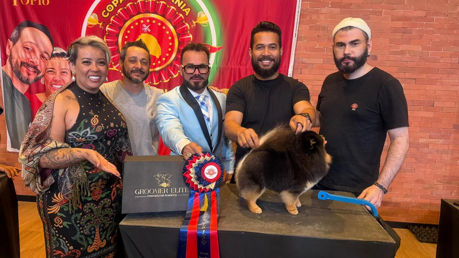 Campeonato de estética animal reúne elite do grooming no Ceará campeonato de estetica animal reune elite do grooming no ceara featured