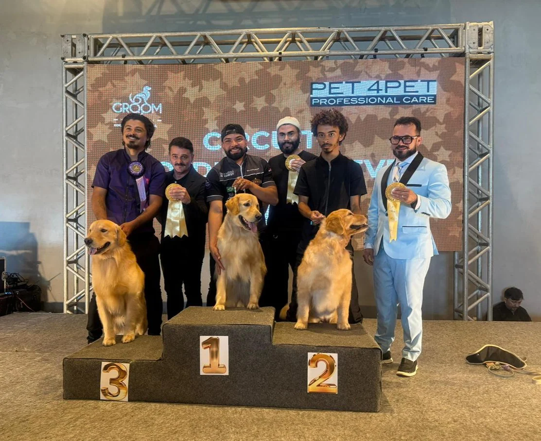 Campeonato de estética animal reúne elite do grooming no Ceará 1 Campeonato de estética animal reúne elite do grooming no Ceará