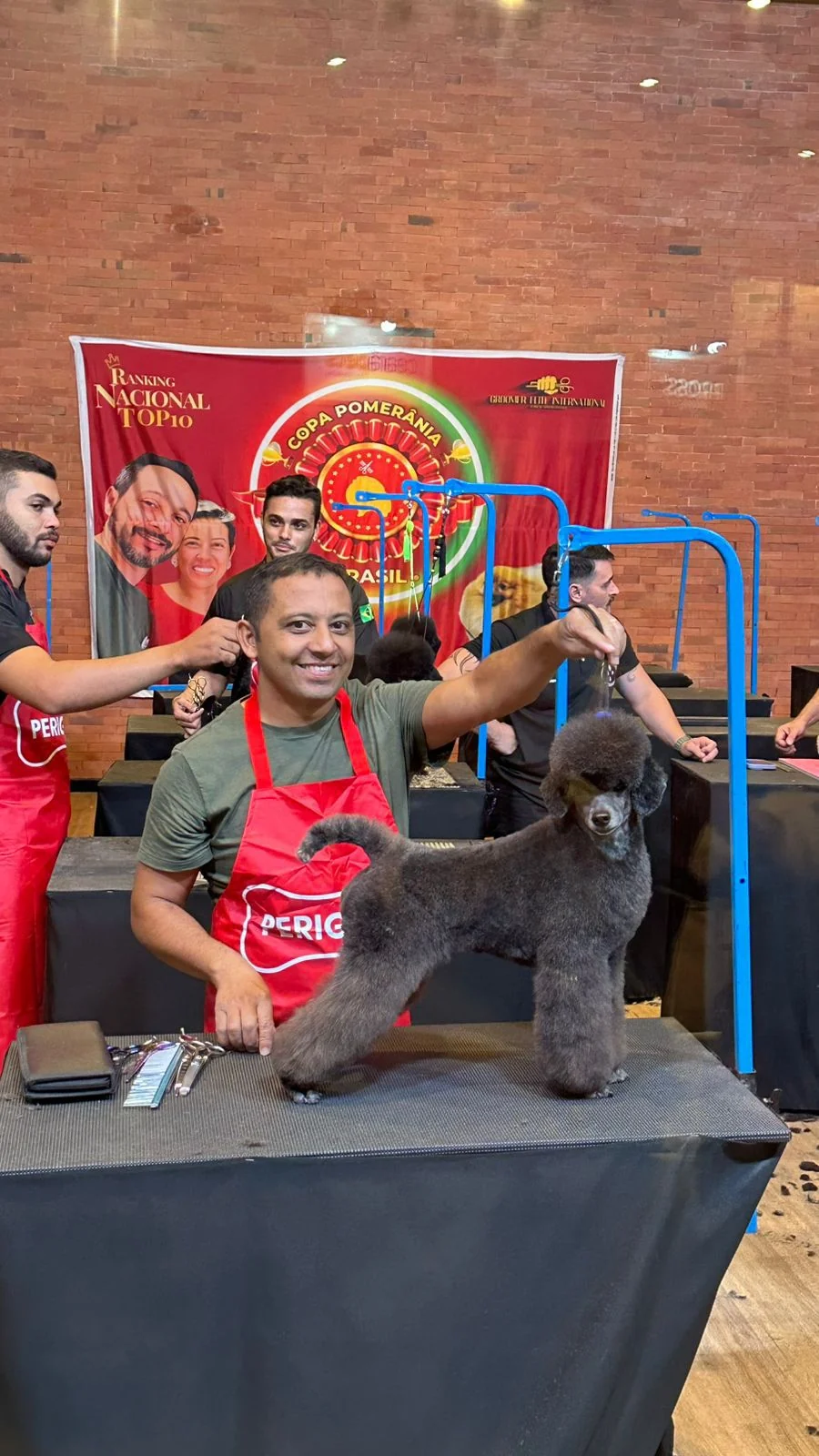 Campeonato de estética animal reúne elite do grooming no Ceará 2 Campeonato de estética animal reúne elite do grooming no Ceará