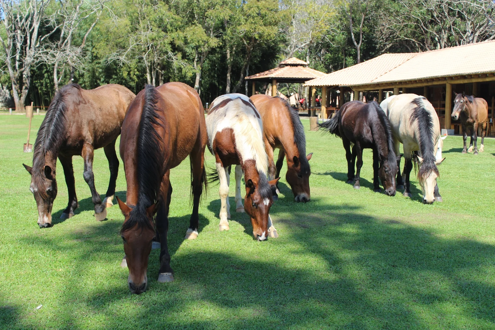 Cápsula de flutuação e menu regional marcam refúgio rural no Paraná