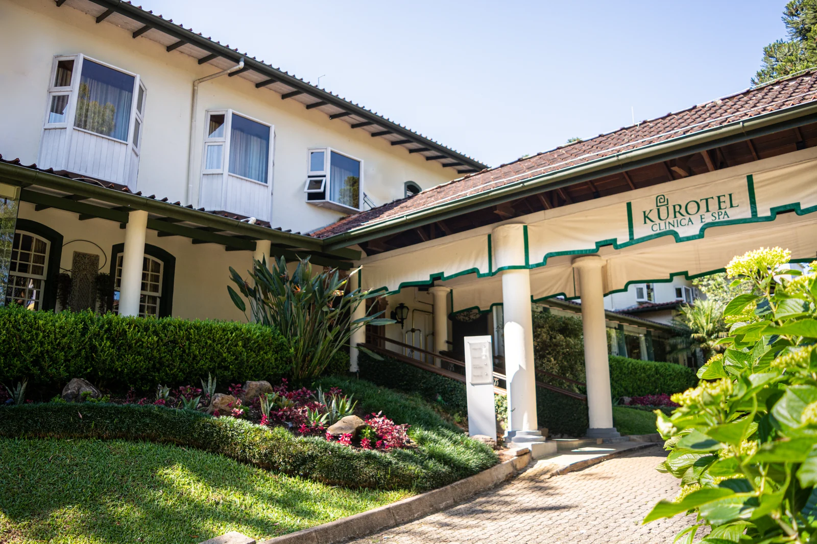 Como hábitos antes dos 50 anos blindam o cérebro contra o Alzheimer