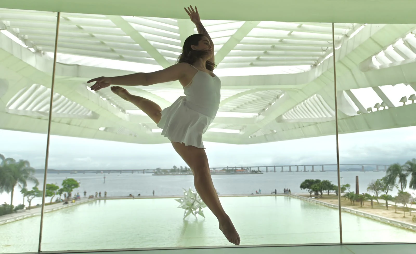 Dança e arquitetura no Museu do Amanhã financiam reflorestamento