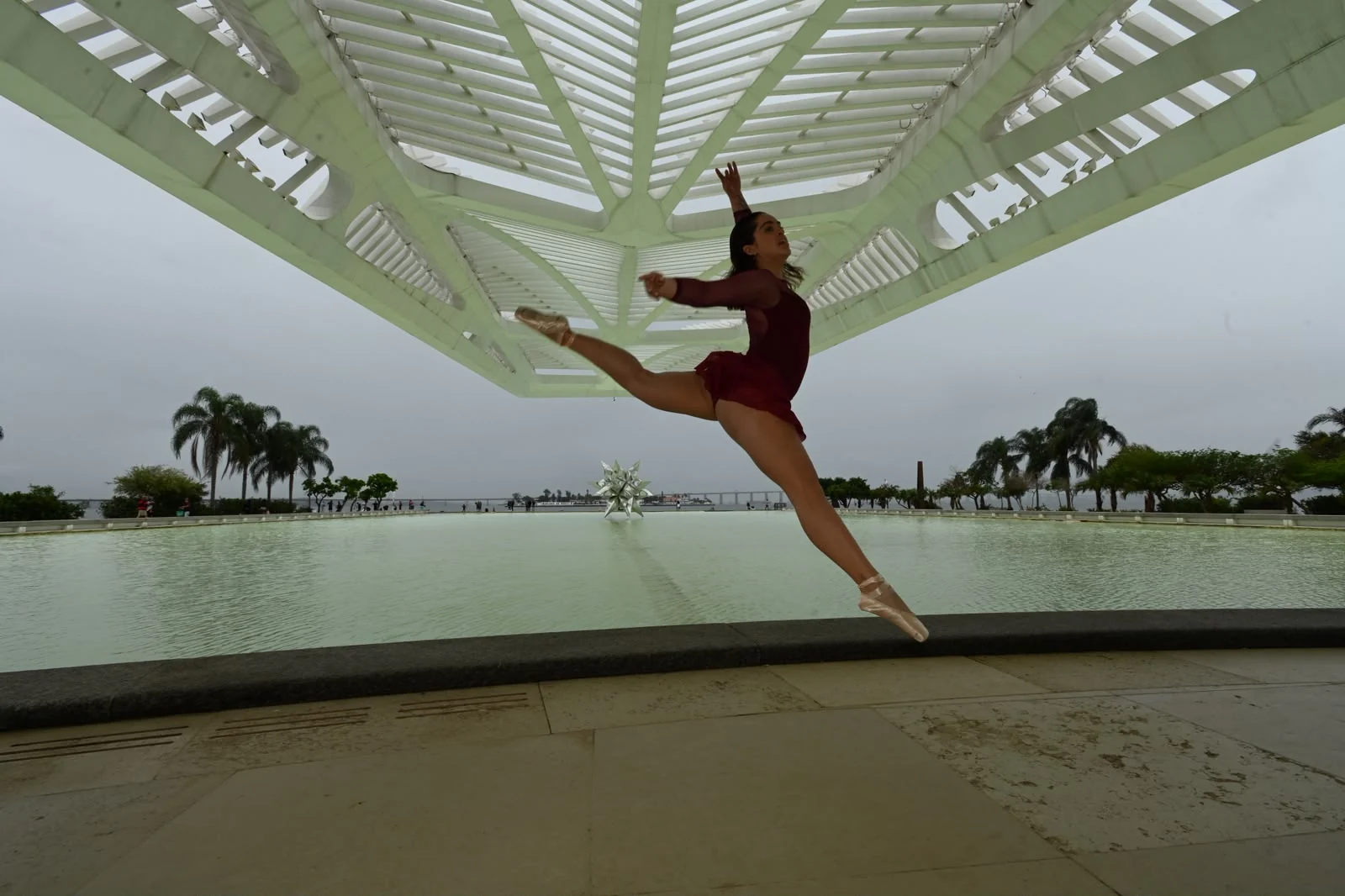 Dança e arquitetura no Museu do Amanhã financiam reflorestamento