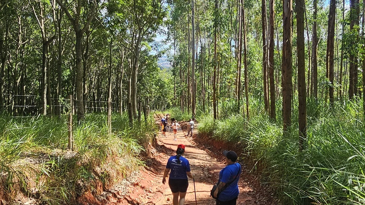 Digital detox ganha força com pausas e bem-estar no interior paulista