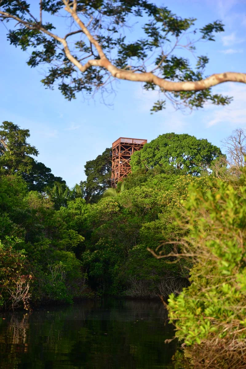 Dormir em redes na Amazônia vira experiência noturna em hotel de selva
