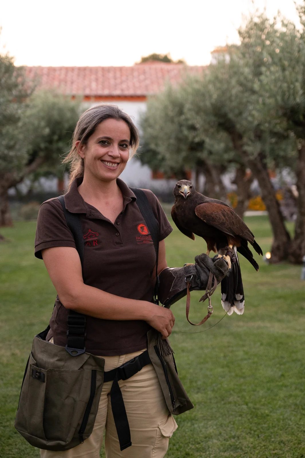 Falcoaria milenar da Unesco sobrevive nas paisagens do Alentejo