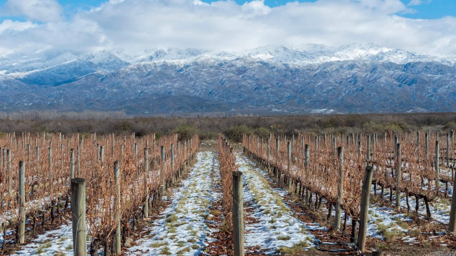 mendoza vai muito alem da malbec featured