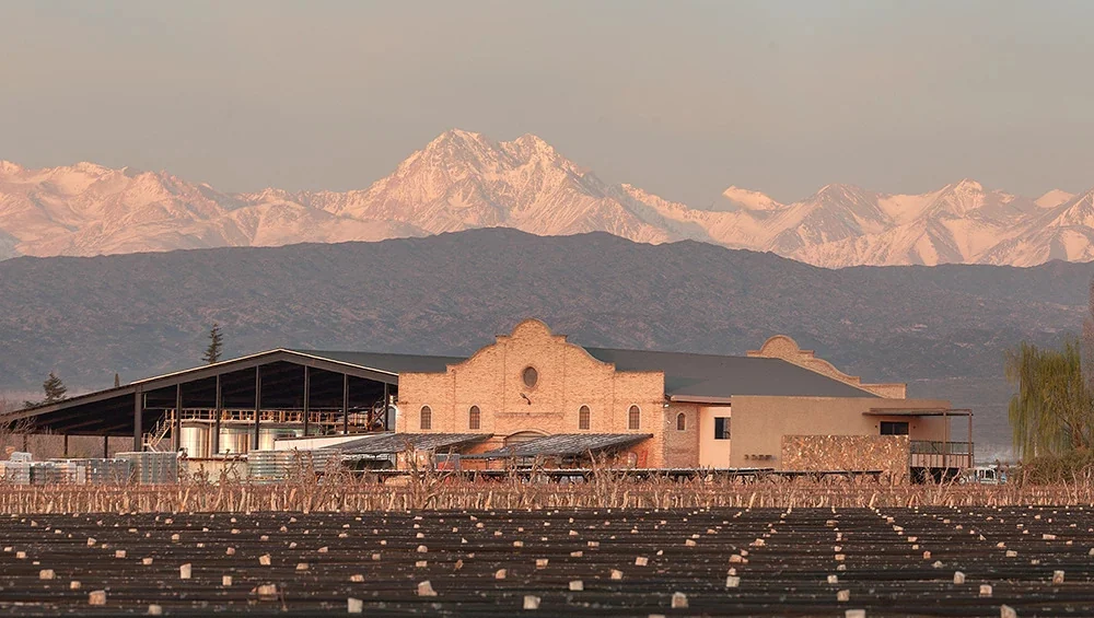 Mendoza vai muito além da Malbec
