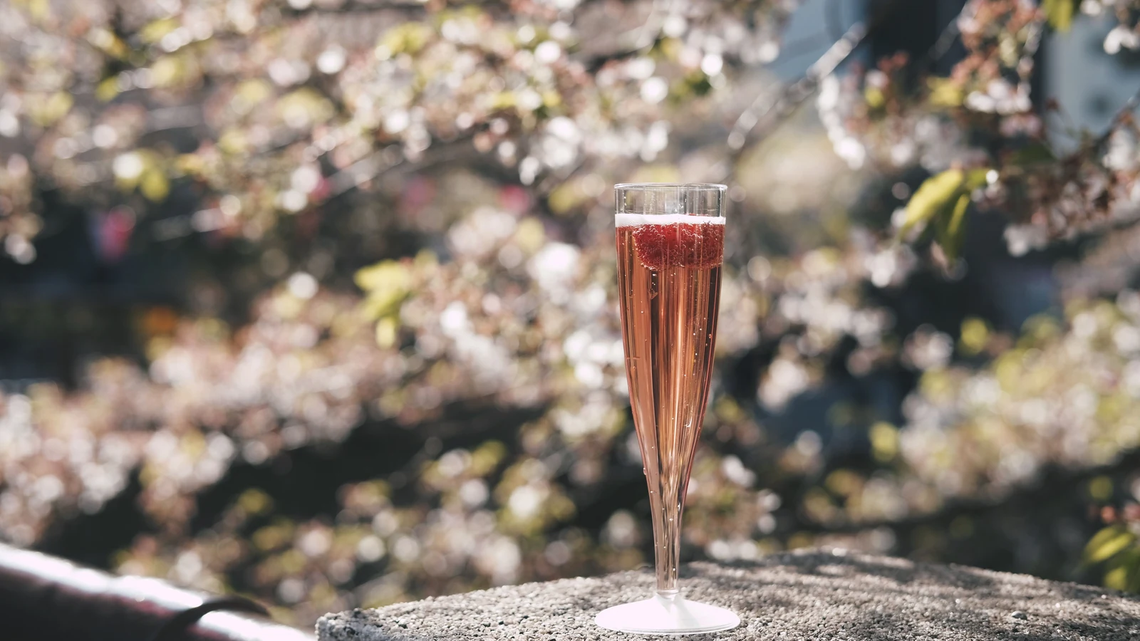 mercado de vinhos bate r 9 8 bi e estimula novos habitos de consumo featured
