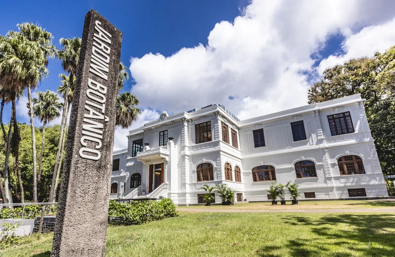 Museu do Jardim Botânico reúne festival de aves e oficinas gratuitas