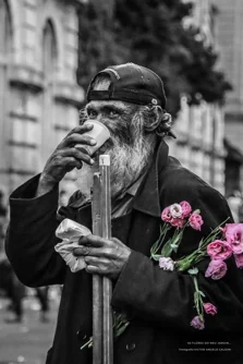 Padre Júlio Lancellotti ganha mostra com 100 fotos e acervo de prêmios