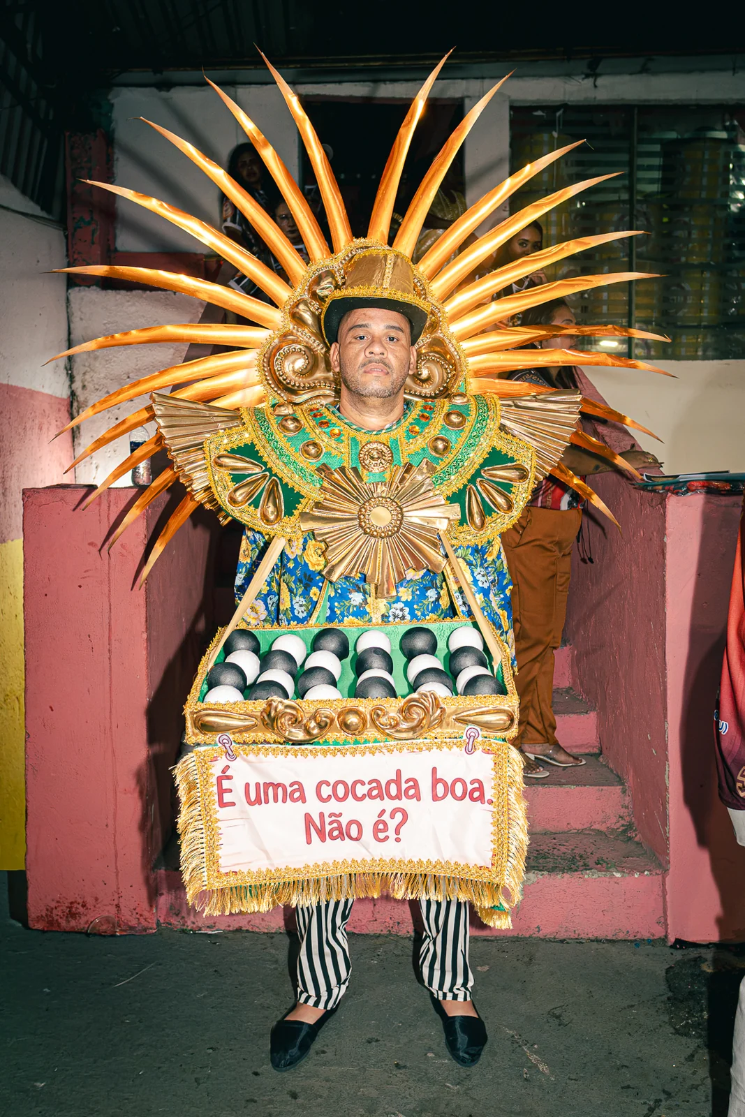 Parque Acari revela fantasias sobre Bezerra da Silva para 2027