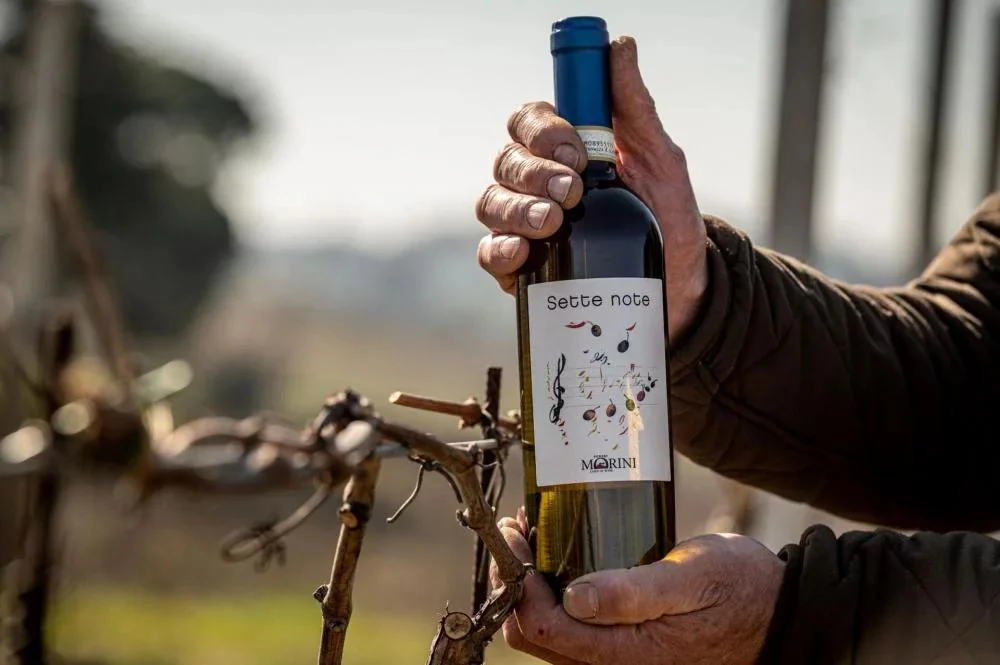 Poderi Morini estreia no Brasil com castas raras e rótulos de artistas