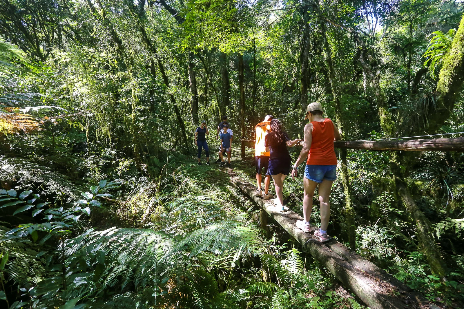 Primavera transforma rotina e amplia atividades na Serra Catarinense